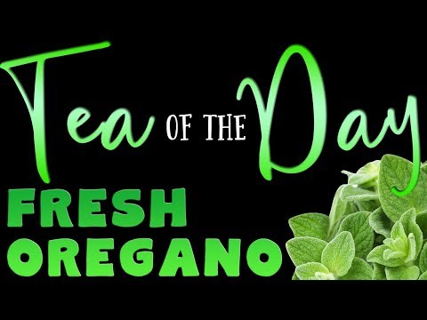 Tea of the Day #59 - FRESH OREGANO TEA