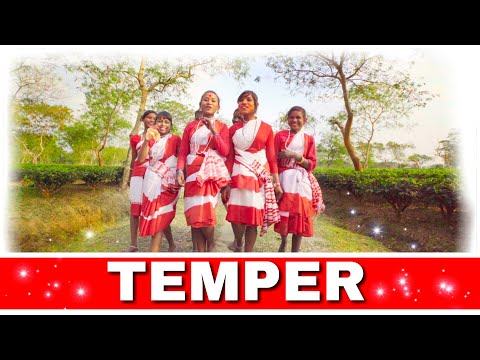 TEMPER Making Video