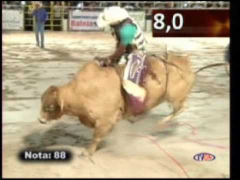 OURO FINO 4 LUGAR FINAL 2016