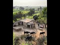 Old Villagge Of Pakistan