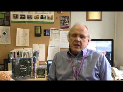 Professor Steve Furber discusses Manchester's role in the ‘Human Brain Project’