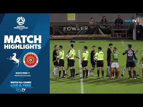 NPL NSW Men's Round 11 Fixture – Marconi Stallions v Rockdale Ilinden
