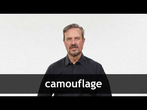 Camouflage de betekenis volgens Wat is dat Encyclopedie voor jongeren