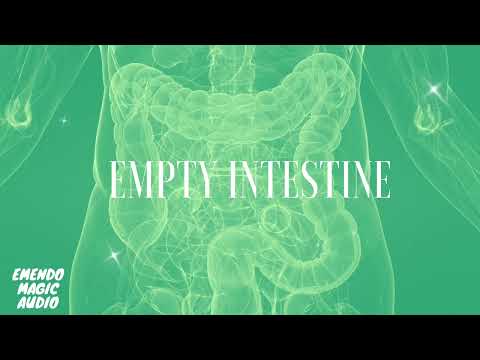 Empty Intestine (Morphic Field)