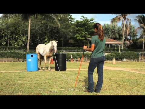 Natural Horsemanship Parelli Squeeze Yoyo Game