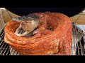 Grilled Alligator