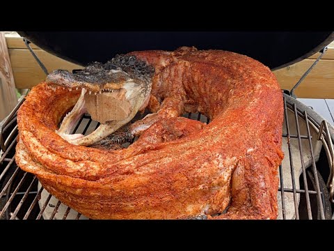 Grilled Alligator