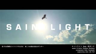 セントライト / HarryP ft.初音ミク (Official Music Video)