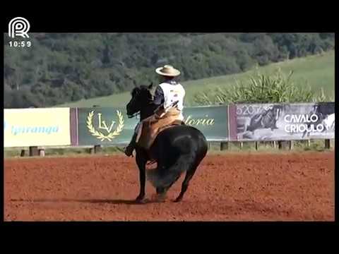 Classificatória Região SC/PR – 3° lugar fêmeas – Sendero Glória (Prova: Bayard/Sarmento)