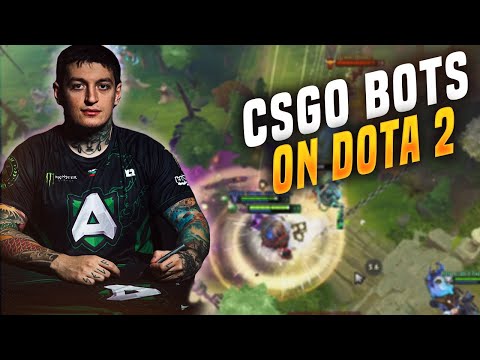 Are We Playing With CSGO Bots?  - NIKOBABY STREAM Moments #55