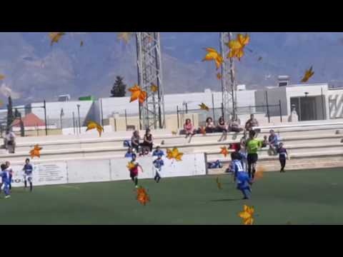 FanFutbolSiete PARADAS DE JOSE CDC ESTUDIANTES