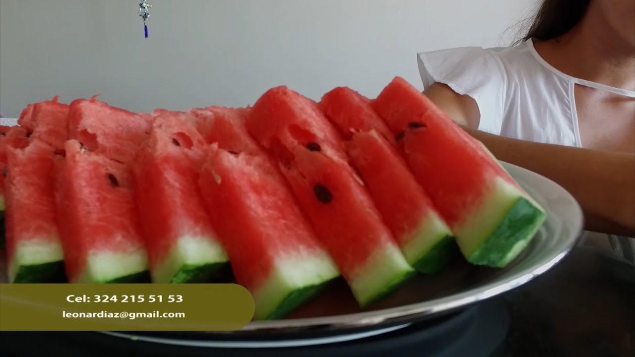 CULTIVO DE SANDIA CAPITULO 2  – SAN MARTÍN DE LOS LLANOS   META