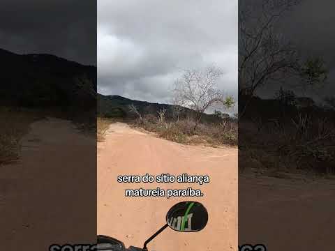 sítio aliança matureia paraíba