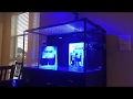 20 Nuvo Fusion Pro Aio Aquarium Bundle - Innovative Marine