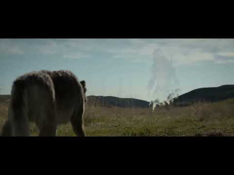 Depredador: la presa// escena del lobo