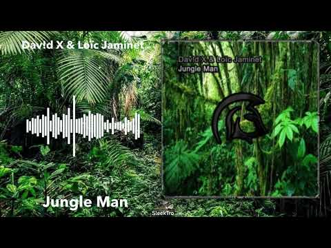 Dav!d X & Loïc Jaminet - Jungle Man (Original Mix)