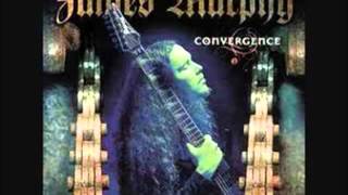 James Murphy - Still Touching The Earth.wmv