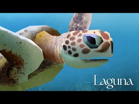 Civin - Laguna | Full Album | Jazzy Lofi Beats