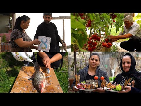 Incredible 5 Second Fish Cleanse   Great Way to Cook Fish   We Llanted Tomatoes