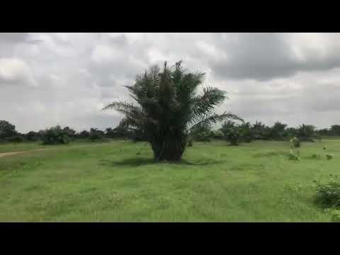 75 Plots of Land for Sale – OPIC, Berger