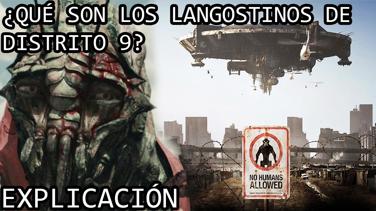 ¿Qué son los Langostinos? | El Misterioso Lore de los Langostinos o Prawns de Distrito 9 Explicado