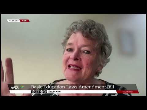 BELA Bill leaves South Africans divided - SABC News - Breaking news, special reports, world, business, sport coverage of all South African current events. Africa's news leader.