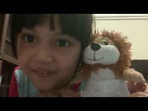 Iffah the wonder kids - take care a baby lion.......