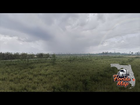 🌴American Truck Simulator | Florida Map 1:1 Map | Cinematic Trailer | 4K