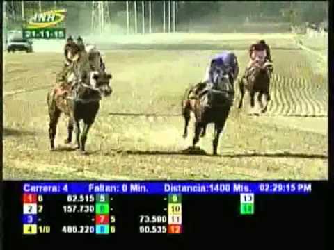 Resumen Sábado, 21 de Noviembre de 2015 - La Rinconada