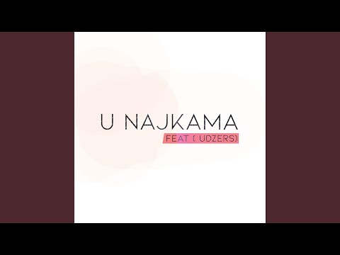 U Najkama (feat. Udzers)