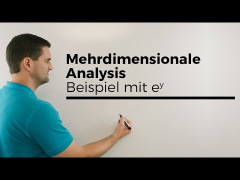 Mehrdimensionale Analysis, Beispiel mit e^y, Extrema, Mehrdimensionale Differentialrechnung