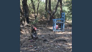 Download lagu Ocean mp3