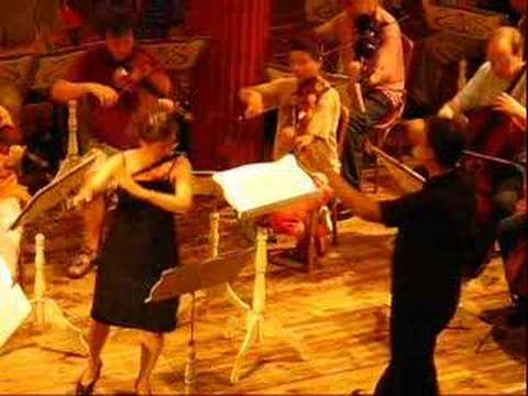 Karin Leitner plays Mozart Flute Concerto 2nd mvt