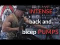 Back and Bicep Workout with Alex Oda