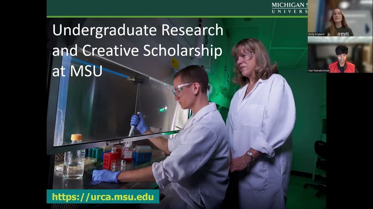 What is Undergraduate Research?