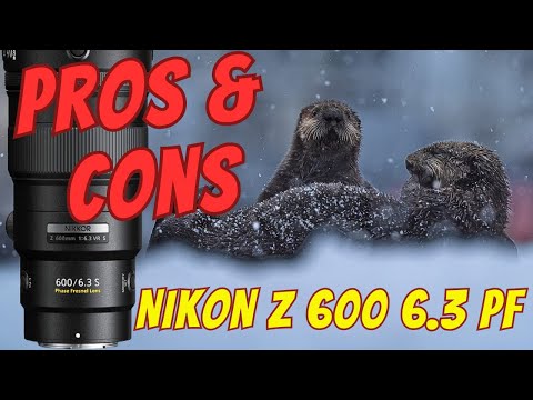 The PROS and CONS of the NIKON Z 600 6.3 VR S PF Lens!