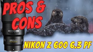 The PROS and CONS of the NIKON Z 600 6.3 VR S PF Lens!
