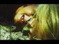 Pitbull Daycare - "You Make Me Feel So Dead ...