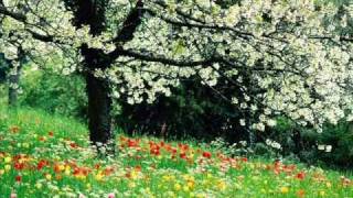 Misty Edwards-See the Way (Legendado pt)