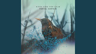 Download lagu Burung Berkicau Murni mp3