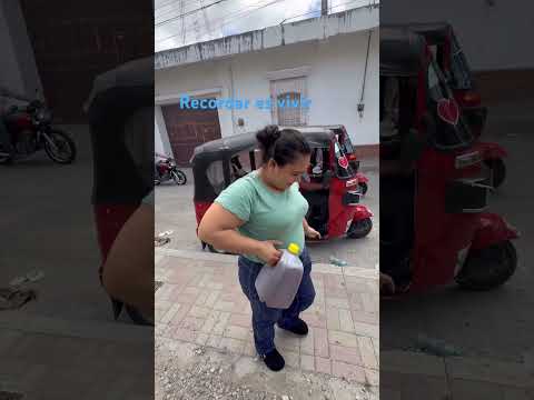 Buscando miel pura, #sanluisjilotepequez #honeybee #jalapa #funnyvideo #guatemalatravel #fyp #miel