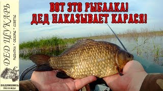 Ссылка