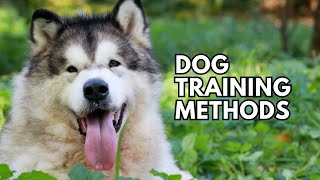 Understanding Dog Training Methods (Operant Conditioning)