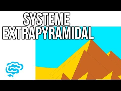 🔴 L'EXPLICATION LA PLUS CLAIRE DU SYSTEME EXTRAPYRAMIDAL (2017) ! - DR ASTUCE