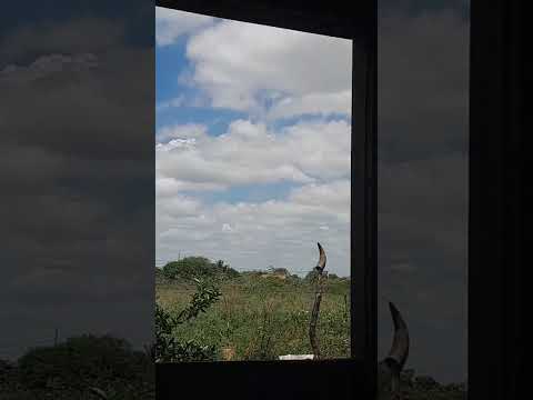 Euclides Dá Cunha Bahia
