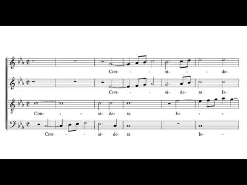 Pierre de La Rue: Considera Israel - Hilliard