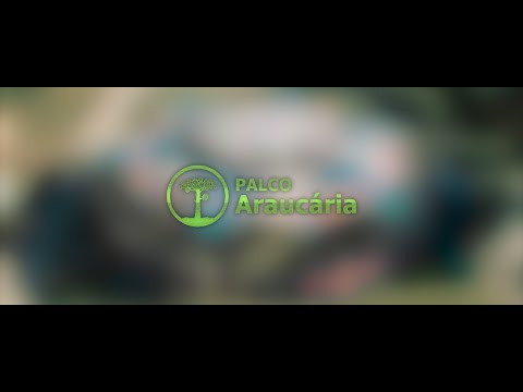 PALCO ARAUCÁRIA - Festival Terra Azul 7