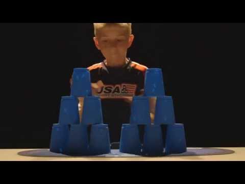 The Brain by David Eagleman