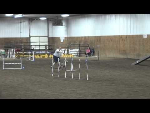 9-8-13 Novice Regular Round 2 NQ filmed by 3PBN