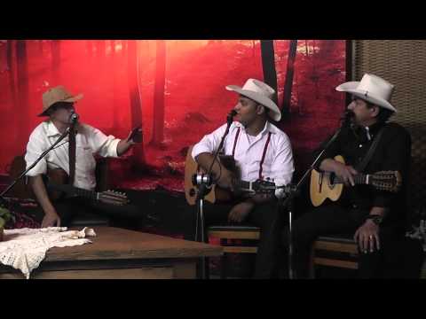 Programa Prosa, Café e Viola n264 Ronaldo Sabino, Júlio César & Joel - Toni Carreiro & Betinho Viola